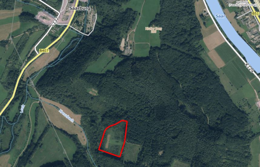 Luftbild_Baumpflanzaktion